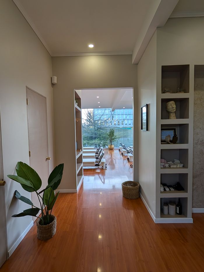 El pasillo de entrada, con una planta y repisas, y la sala al fondo
